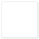 4 X 4 In Square Perm Standard Label
