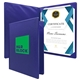Diploma Holder Economy Portrait