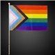 Progress Pride Rainbow Flag 12x18