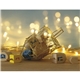 Good Value(TM) Jewish Life - Spiral Calendar