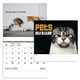 Pets with Attitude - Stapled - Good Value Calendars(R)