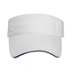 The Visor