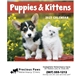Puppies Kittens - Mini Calendar