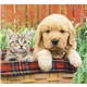 Puppies Kittens - Mini Calendar