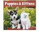 Puppies Kittens - Mini Calendar