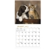 Puppies Kittens - Mini Calendar