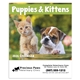 Puppies Kittens - Mini