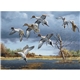 HotLine(R) Products Maass Wildfowl(R) Executive Calendar