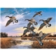 Maass Wildfowl(R) Executive Calendar