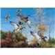 Maass Wildfowl(R) Executive Calendar