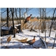 Maass Wildfowl(R) Executive Calendar