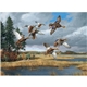 Maass Wildfowl(R) Executive Calendar