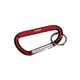 Carabiner with Ring