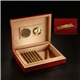 Rosewood Humidor