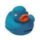 Colorful Duck