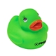 Colorful Duck
