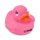 Colorful Duck