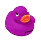 Colorful Duck