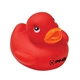 Colorful Duck