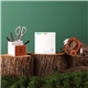 TerraTone Organize Energize Kit