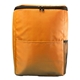 Sporty Recycled Cooler Backpack