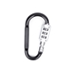 SecureLink Mini Carabiner Keychain