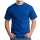 Hanes(R) 100 Cotton T - Shirt