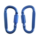 Best Buddy Tools (R) D - Ring Carabiner with Lock