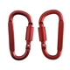 Best Buddy Tools (R) D - Ring Carabiner with Lock