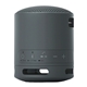 Sony SRS - XB100 Bluetooth Speaker