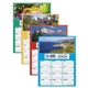 Display - A - Year