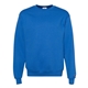 Champion(R) Double Dry Eco(R) Crewneck Sweatshirt
