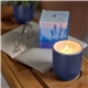 Modern Sprout(R) Garden Vibes Candle / Planter