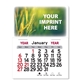 Adhesive Peel - N - Stick(R) Calendar - Rectangle