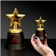 5 Gold Star Trophy