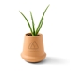 Modern Sprout(R) Modern Terracotta Grow Kit Aloe