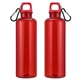 Aloha 25 oz RPET Reusable Translucent Bottle w / Carabiner