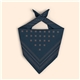 Work + Shelter Bandana