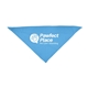 Large Triangle Pet Bandana with Screen Print