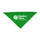 Large Triangle Pet Bandana with Screen Print