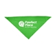 Large Triangle Pet Bandana with Screen Print