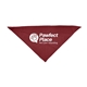 Large Triangle Pet Bandana with Screen Print