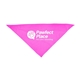 Large Triangle Pet Bandana with Screen Print