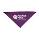 Large Triangle Pet Bandana with Screen Print
