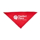 Large Triangle Pet Bandana with Screen Print