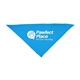 Large Triangle Pet Bandana with Screen Print
