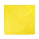 Solid Colored Bandana with Screen Print