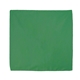 Solid Colored Bandana with Screen Print