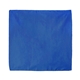 Solid Colored Bandana with Screen Print