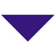 Domestic Pet Bandanna
